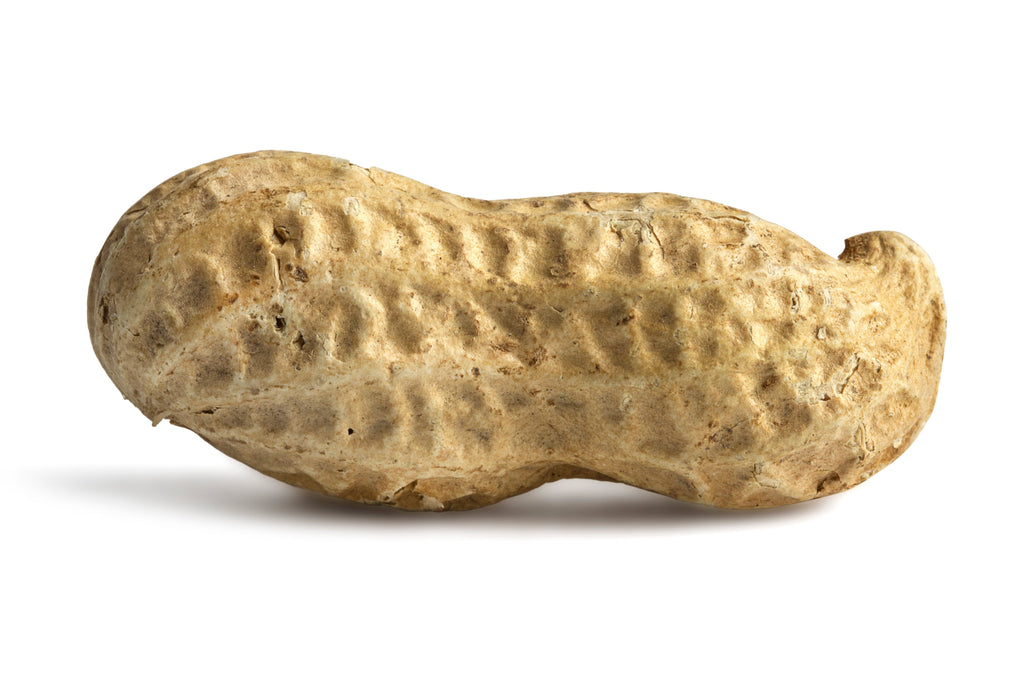 Jumbo Raw Peanuts (In Shell)