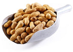 Jumbo Raw Peanuts (In Shell)