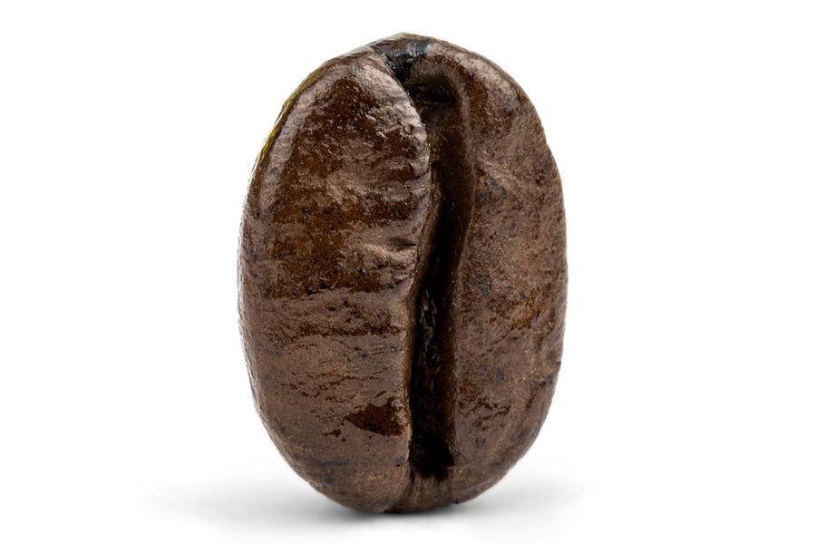 Decaf Colombian Medellin Supremo Coffee